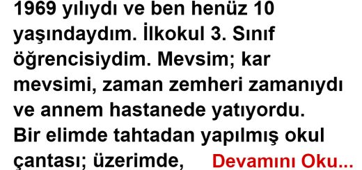 ANNE BEN GELDİM