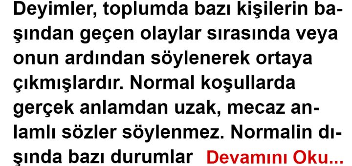 Ayıkla Pirincin Taşını