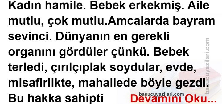 Bir Türlü Adam Olamadı