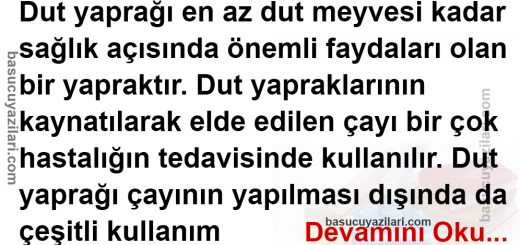 Dut Yaprağının Faydaları