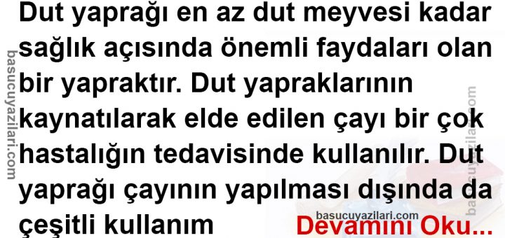 Dut Yaprağının Faydaları