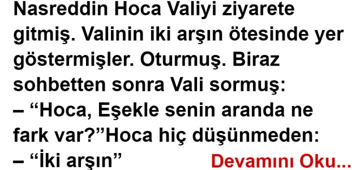 Eşekle Senin Aranda Ne Fark Var