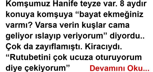 Hanife Teyze