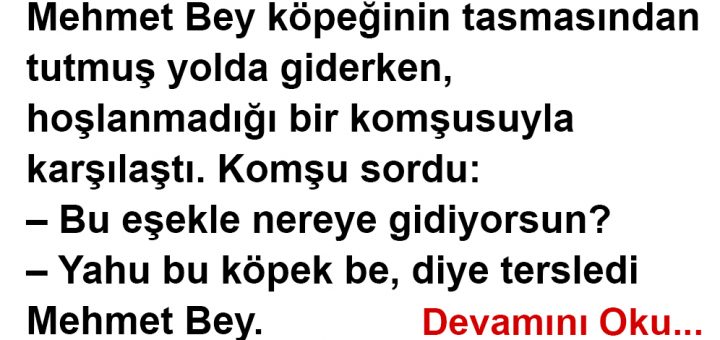 Köpekle Konuşuyorum