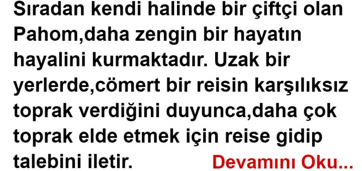 Yoksa Bütün Hakkını Kaybedersin