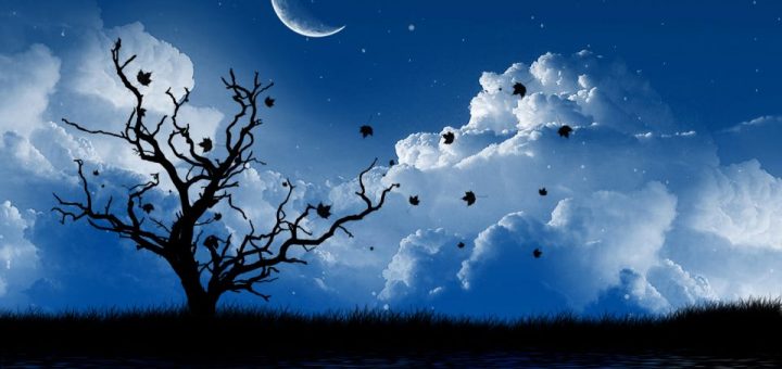 Adınızı Japonca olarak heceleyin.