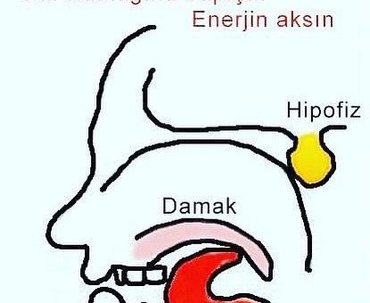 Enerji mucizesi; dili damağa değdirin!