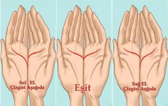İki Elinizi Birleştirin Ve El Çizgilerinizin Kesiştiği Noktaya Bakın Sonuç Sizi Çok Şaşırtacak