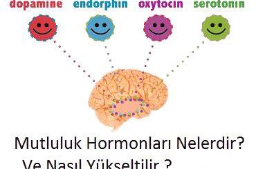 Mutluluk Hormonları Serotonin Nasıl Hissettirir