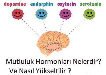 Mutluluk Hormonları Serotonin Nasıl Hissettirir