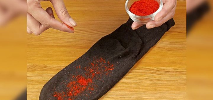 Pul Biberi Çoraba Dökünce Bakın Ne Oluyor?