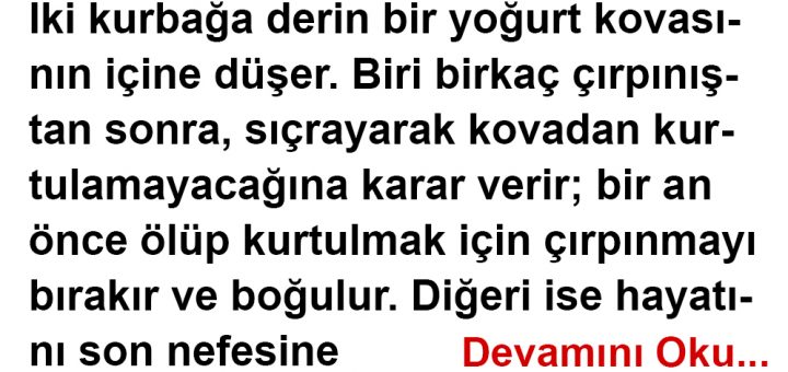 savaşmaktan vazgeçmeyin