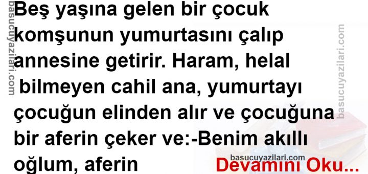 Hırsız Nasıl Yetişir