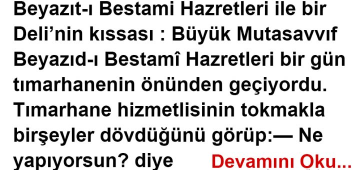 BEYAZIT-I BESTAMİ İLE BİR DELİNİN HİKAYESİ