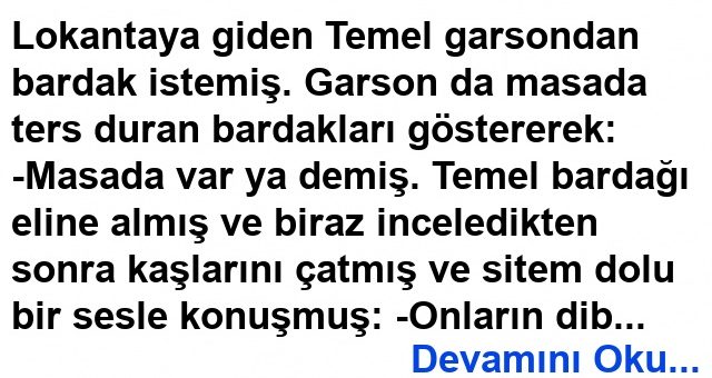 Dibi Delik Üstü Kapalı Fıkrası