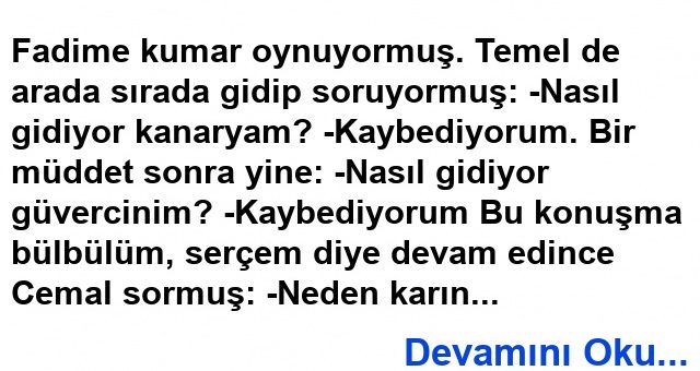 Kuş Beyinli Fıkrası