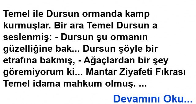 Ormanın Güzelliği Fıkrası