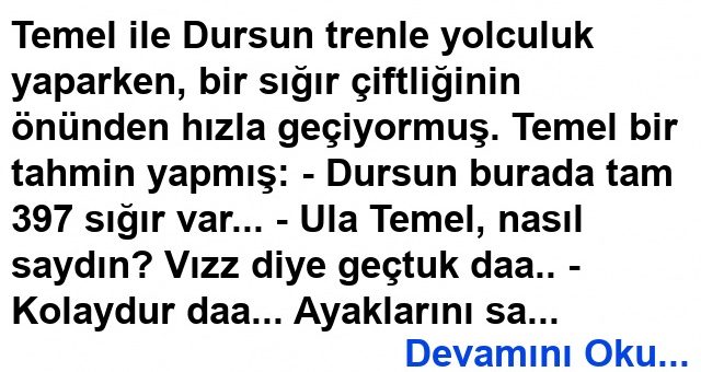 Temel’in Tahmini Fıkrası