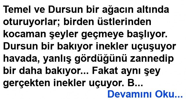 Uçan İnekler Fıkrası