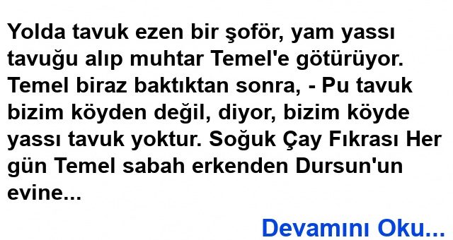 Yassı Tavuk Fıkrası