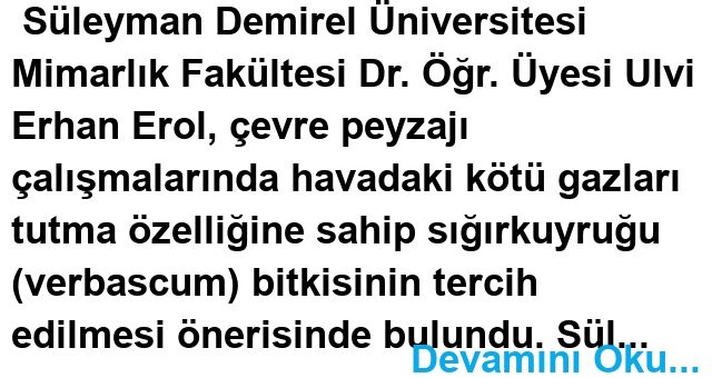 Kimsenin aldırış etmediği SIĞIR KUYRUĞU MUCİZESİ