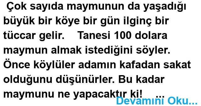 MAYMUN SİSTEMİ