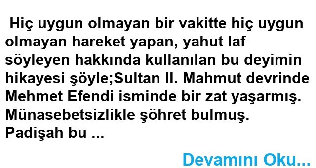 MÜNASEBETSİZ MEHMET EFENDİ