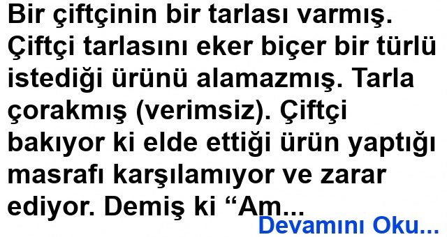 Çiftçinin Çorak Tarlası Hikayesi