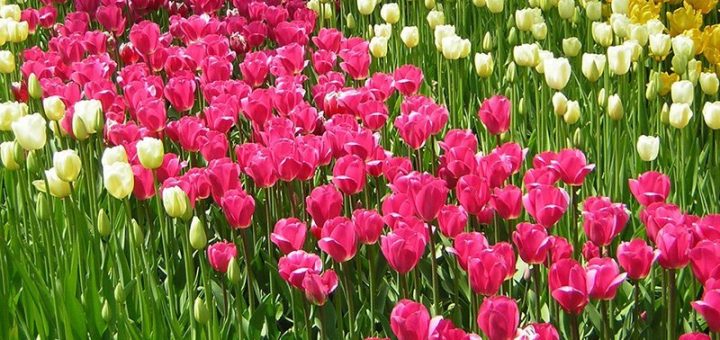 Yaşamanın Temel Kuralı Şudur: Ne Yaparsanız O size Aynen Geri Gelir.