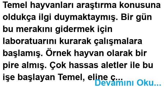 Araştırmacı Temel Fıkrası