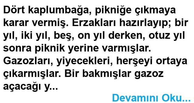 Kaplumbağa Temel – Fıkra