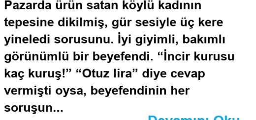 “Kaç kuruş” dedi, “incir kurusu?”