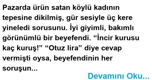 “Kaç kuruş” dedi, “incir kurusu?”