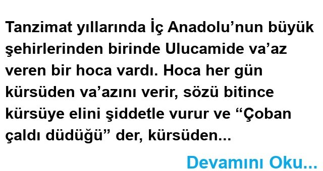 ÇOBAN ÇALDI DÜDÜĞÜ