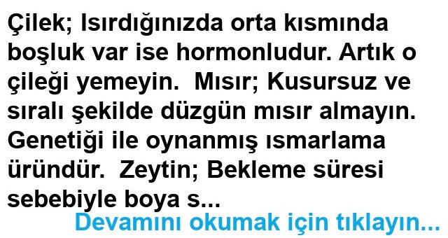 Yediklerimiz Hakkında