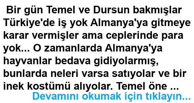 Almanya Yolunda Fıkrası