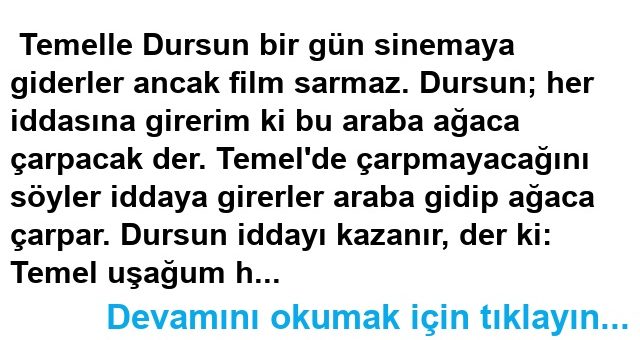 Şoforün Aklı Fıkrası