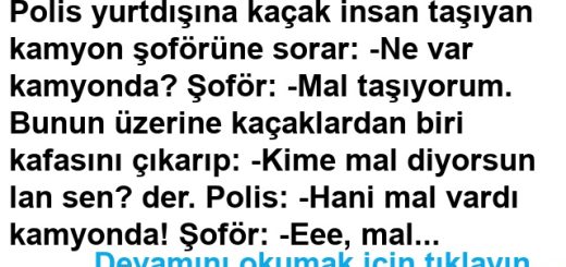 Kaçak Yolcu Fıkrası