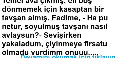 Temel Ava Çıkmış