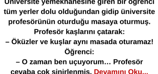 Öküzler ve Kuşlar