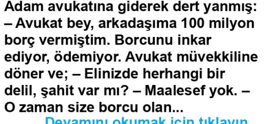Aradığımız Delil Bu