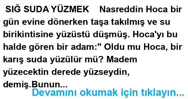 Nasreddin Hoca Fıkraları