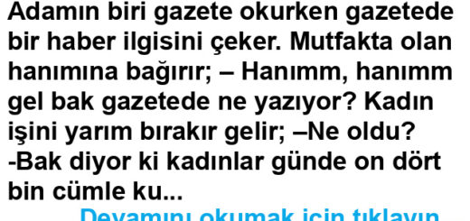 Ne dedin sen?