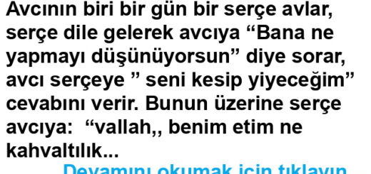 Olmayacak şeye inanma